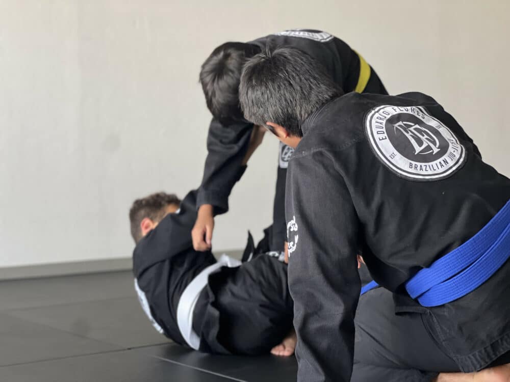 EF-Brazilian Jiu Jitsu Memberships image